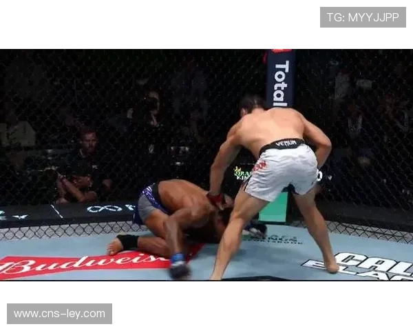 唐特·约翰逊UFC首秀轻松制服杜马斯赢得奖金