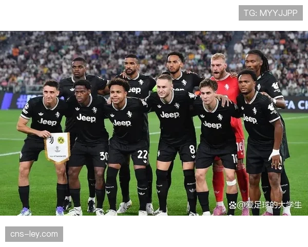 维罗纳迎回防守核心，伊万·伊利奇解禁复出将提升中场拦截硬度